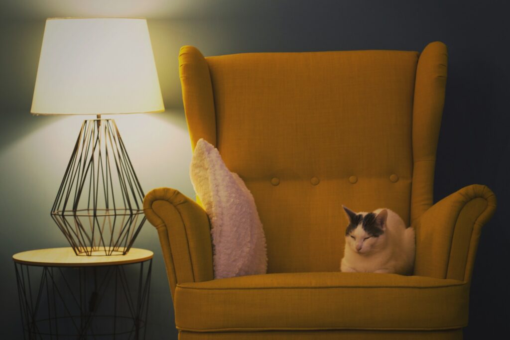 draaistoel voor in de woonkamer draaistoel voor in de woonkamer